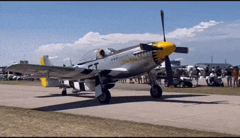 Fighter Plane GIF