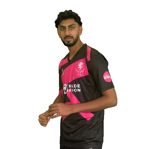 England Cricket Ball Sticker by Somerset County Cricket Club