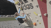 climbing austria GIF by Tirol