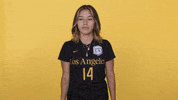 Womens Soccer GIF by Cal State LA Golden Eagles