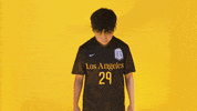 Cal State La Soccer GIF by Cal State LA Golden Eagles