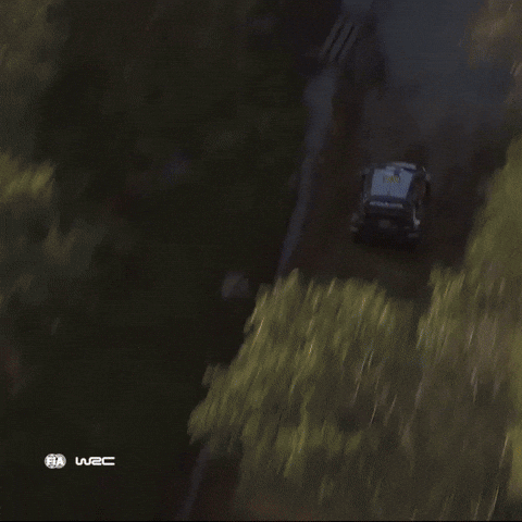 Motorsport Rallying GIF by FIA World Rally Championship