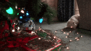 Christmas Vacation GIF by filmeditor