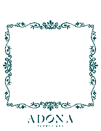 Frame Sticker by Adona Beauty