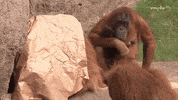 GIF by Mitteldeutscher Rundfunk