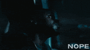 Looking Up Keke Palmer GIF by NOPE