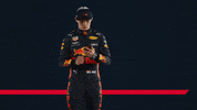 ver formula 1 GIF by Red Bull Racing