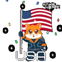 Independence Day Usa Sticker by Hamieverse