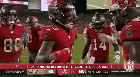 Tampa Bay Buccaneers Football GIF by NFL