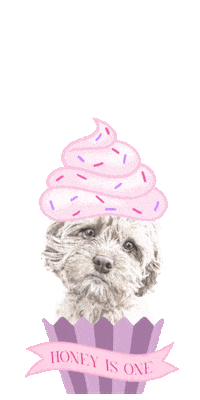 Cute Dog Sticker