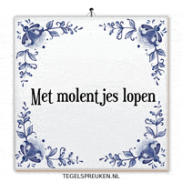 Nl Wijsheid GIF by Tegelspreuken.nl