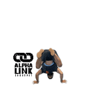 Fitness Workout Sticker by Alpha Link Crossfit