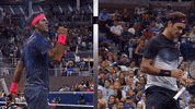 federer vs del potro GIF by US Open