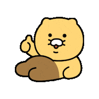 kakaofriends_official choonsik 춘식이 Sticker