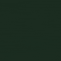 Chevrolet GIF by Sinoscarrs