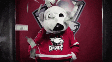 dance hockey GIF by Charlotte Checkers