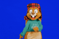 Universal Studios Squirrel GIF by Universal Destinations & Experiences
