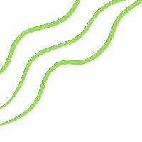Waves Lines Sticker