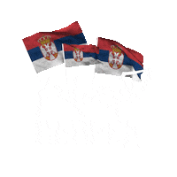 Sticker by Fudbalski savez Srbije