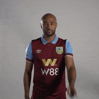 Premier League No GIF by Burnley Football Club