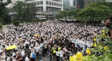 Thousands of Seniors Take Part in 'Silver-Haired' March to Support Extradition Bill Protesters