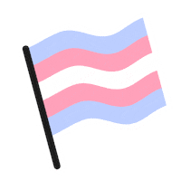 Trans Day Of Visibility Gay Sticker