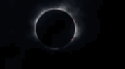 solar eclipse space GIF by The Franklin Institute