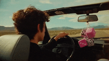 At The End Of The Day Driving GIF by Wallows