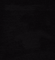 Ai GIF