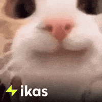 Happy Cat GIF by ikas