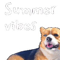Corgi Milo Sticker