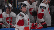 World Juniors Switzerland GIF by International Ice Hockey Federation
