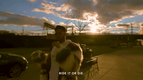 yri GIF by Anik Khan