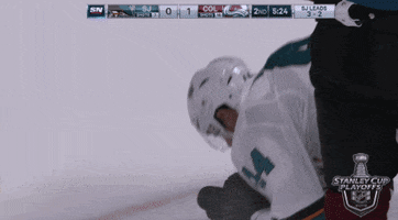 ice hockey sport GIF by NHL