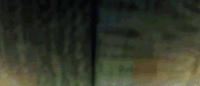 and so we put goldfish in the pool GIF by NOWNESS