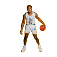 Ncaa Basketball Sticker by Cal Athletics