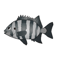 Fish 魚 Sticker by harimitsu