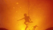 GIF by NOWNESS