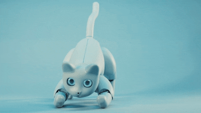 TestClaudia giphyupload cat robots ces GIF