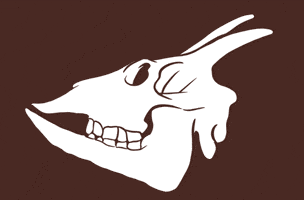 Mallorca Calavera GIF