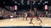 gostanford  GIF