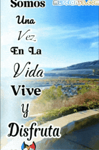 En La Vida Amigos GIF by Murcianys LLC