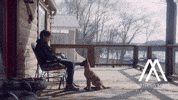 Puppy Pet GIF by Better Noise Music