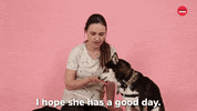 Dog GIF by BuzzFeed
