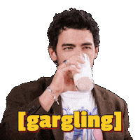 Jonas Brothers Joe Sticker by First We Feast