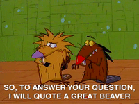 nickrewind nicksplat angry beavers GIF