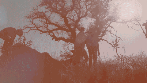 bradford cox indie GIF by Deerhunter