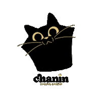 Cat Nin Sticker by FVO Alimentos
