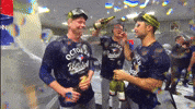 Blue Jays Baseball GIF by Toronto Blue Jays