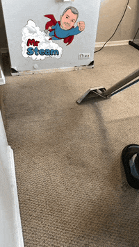 Carpet Cleaning GIF by Mr. Steam